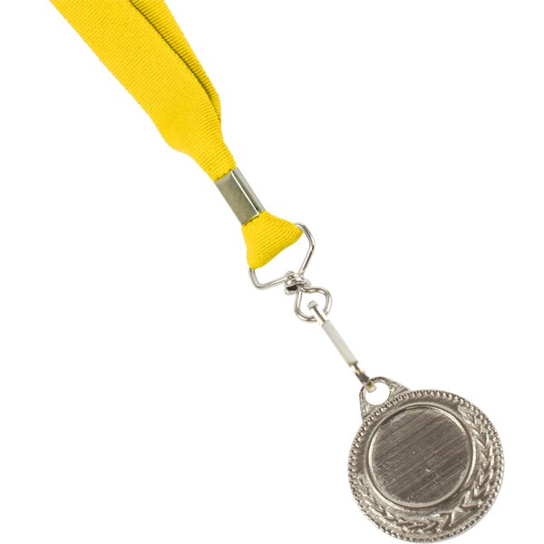 Unbranded Ribbon with Silver Medal