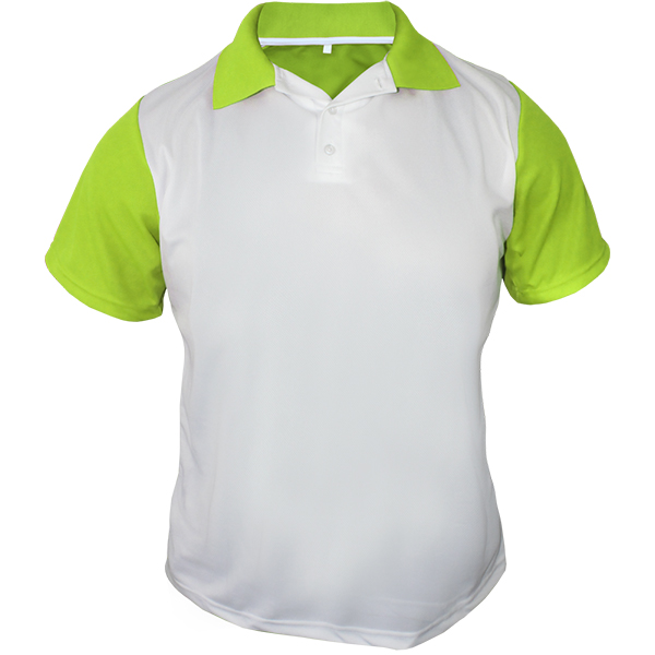 Mens Rico crew neck Tshirt with 1 col