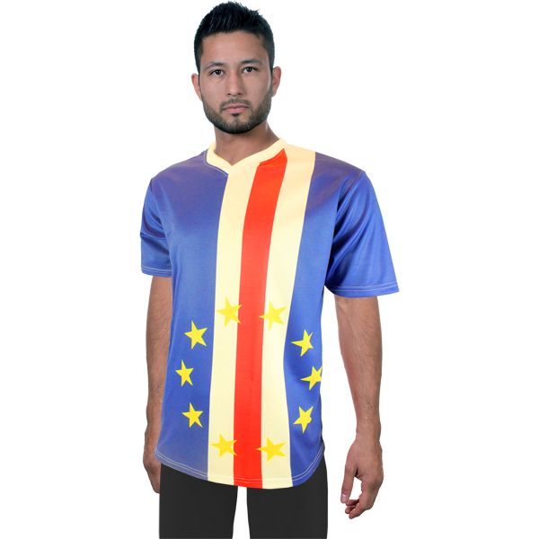 Mens Legacy V-neck Tshirt with fc