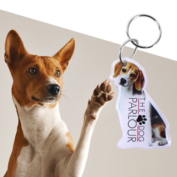 Bone Domed Key Holder 