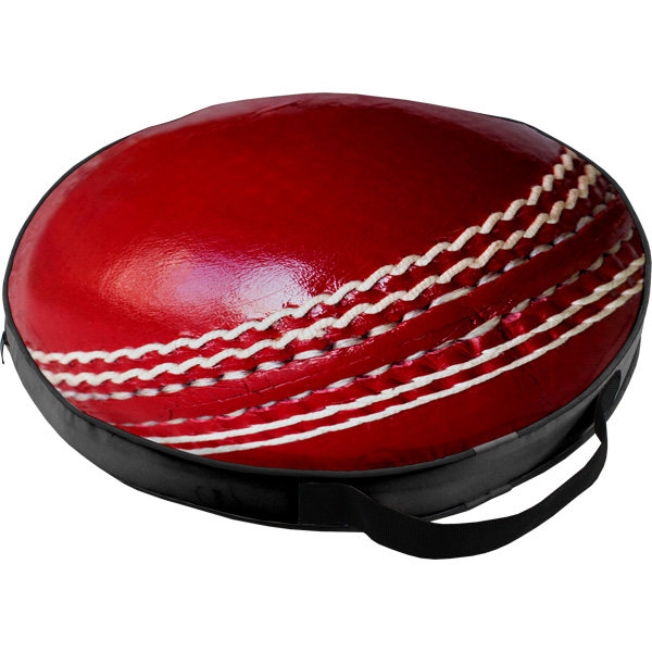 Cricket Stadium Cushion with FC Print