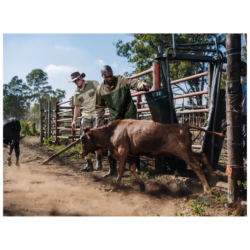 Site Premium Two-Tone Polycotton Jacket