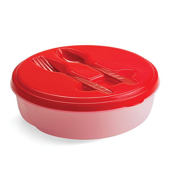 Food Container with fork and spoon