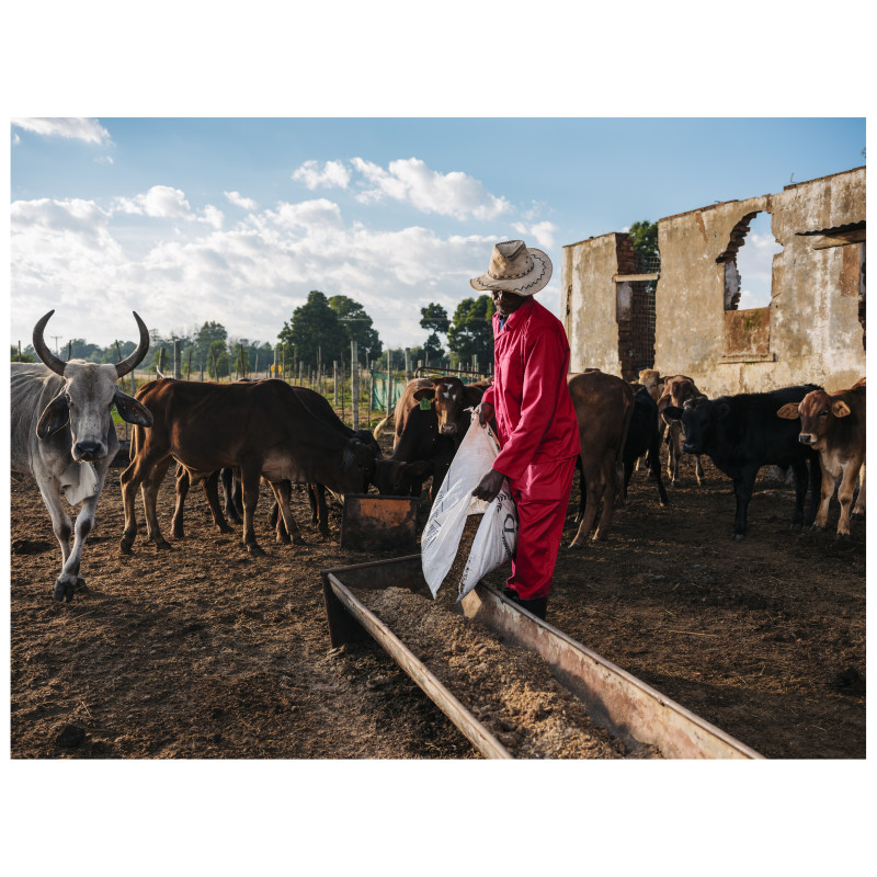 Trade Polycotton Conti Suit