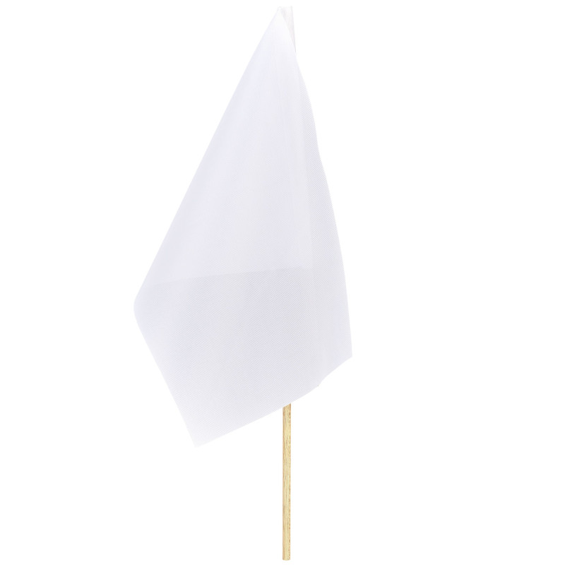 Champion Small Hand Flag 300mm x 200mm