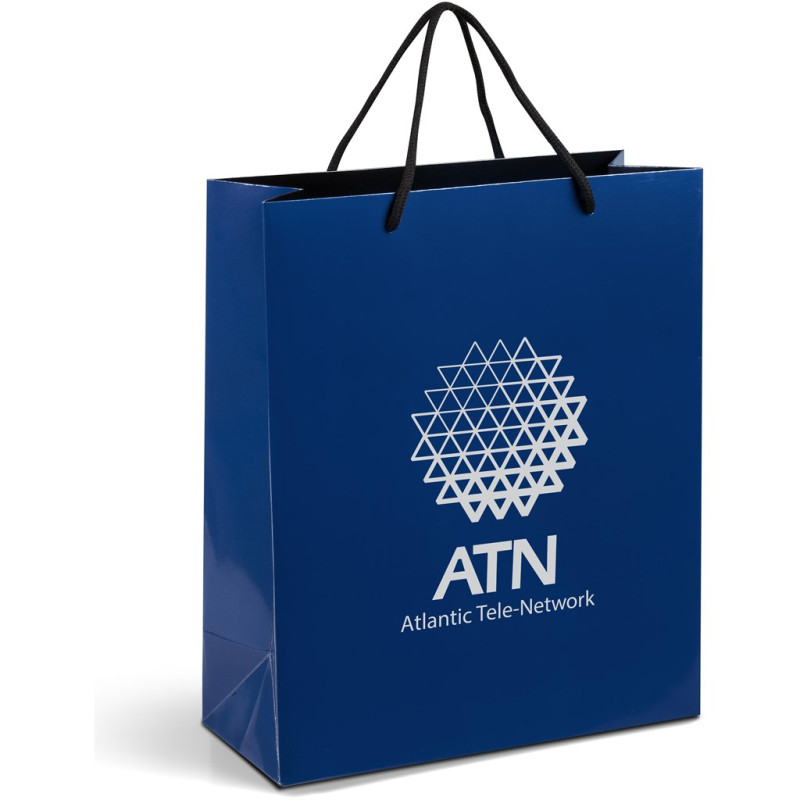 Altitude Dazzle Maxi Paper Gift Bag