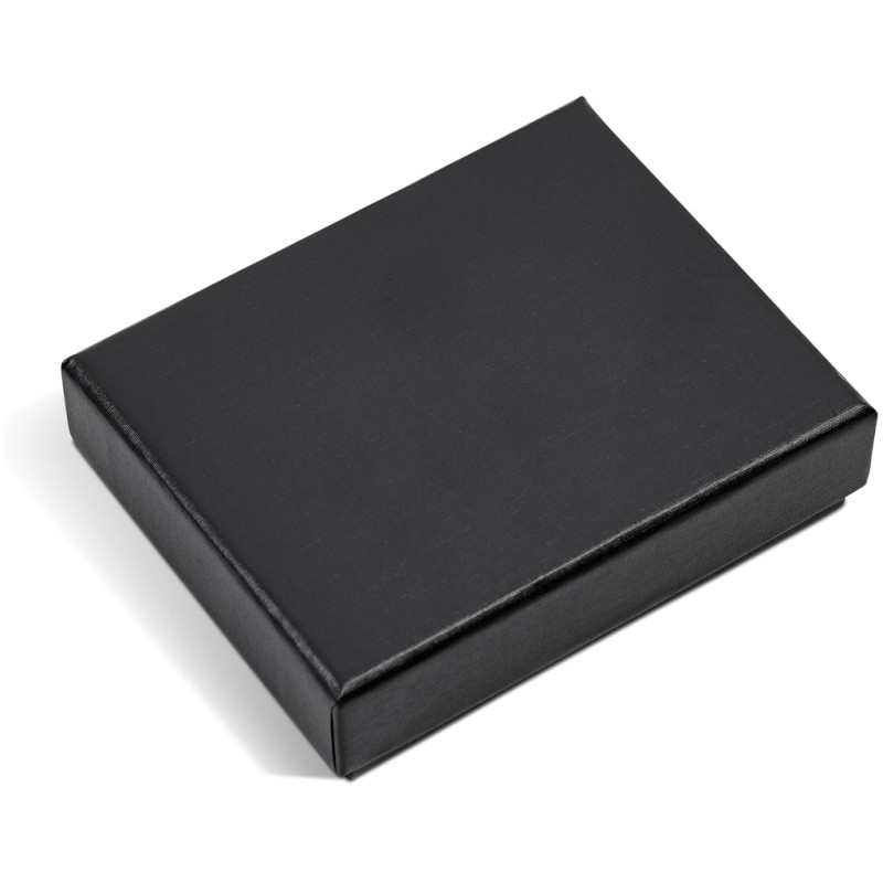 Carnegie Flash Drive Pen - 16GB