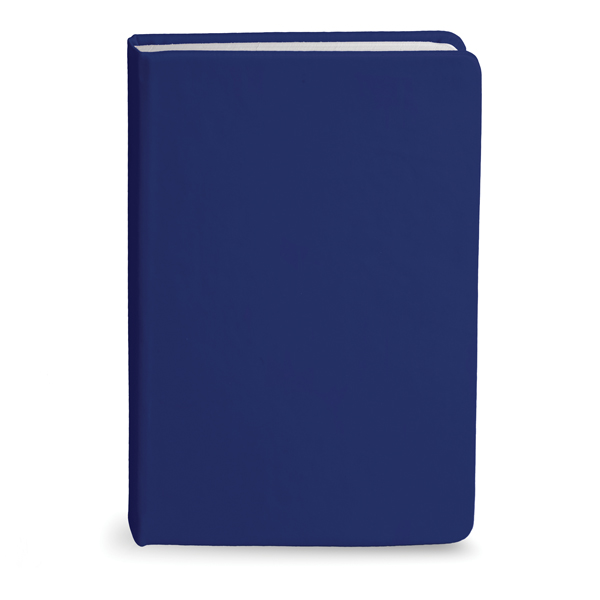 Bingham Notebook