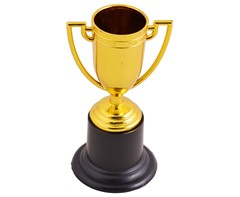 Mini Cup Trophy