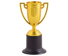 Mini Cup Trophy